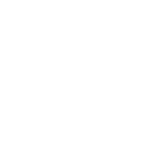 Professionalism icon