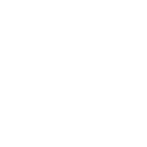 checklist icon